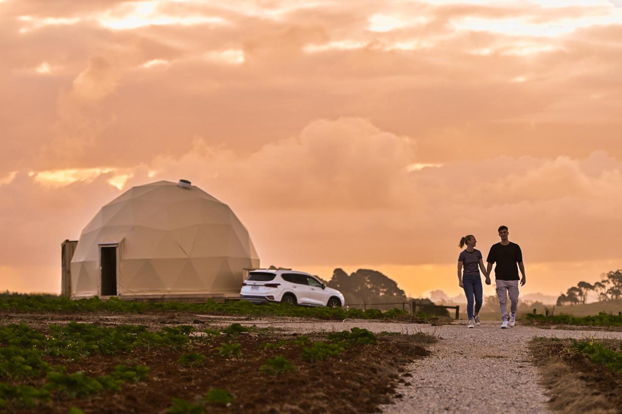 Mount Gnomon Farm Luxury tent *