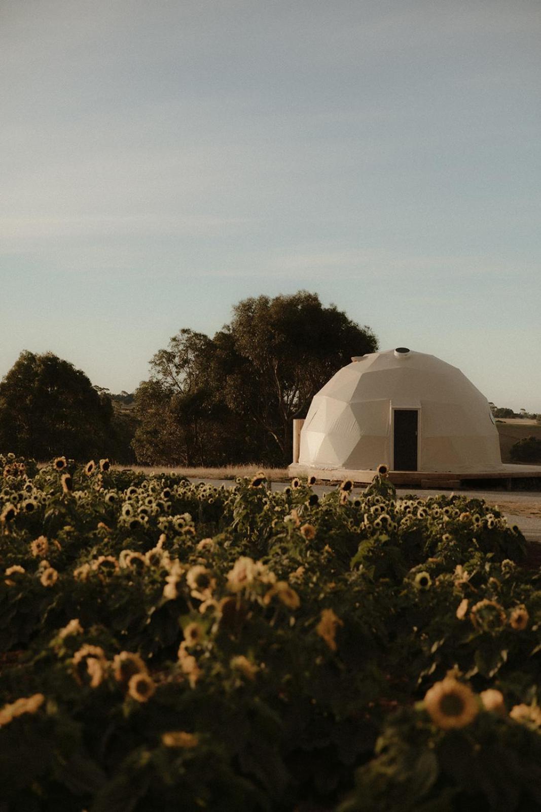 Mount Gnomon Farm *
